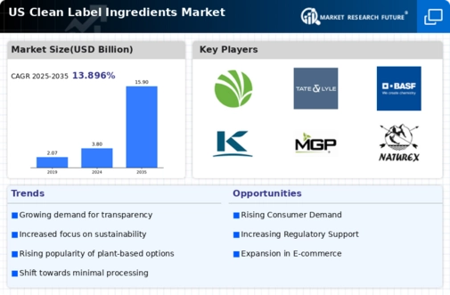 US Clean Label Ingredients Market Infographic