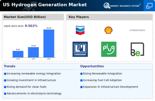 US Hydrogen Generation Market Infographic