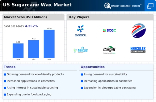 US Sugarcane Wax Market Infographic
