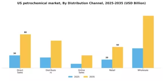 US Petrochemical Market Segment Image 1