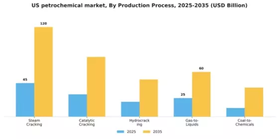 US Petrochemical Market Segment Image 4