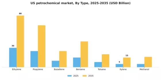 US Petrochemical Market Segment Image 1