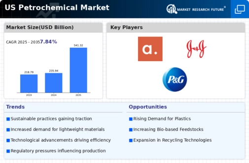 US Petrochemical Market Infographic