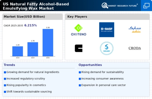 US Natural Fatty Alcohol Based Emulsifying Wax Market Infographic