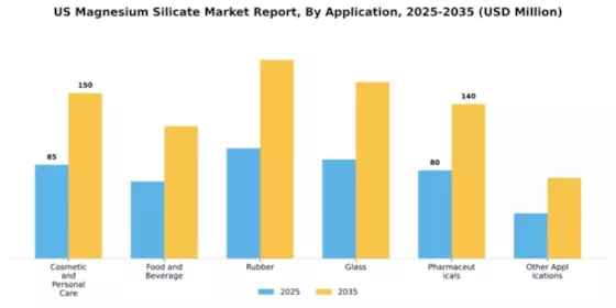 US Magnesium Silicate Market Segment Image 0