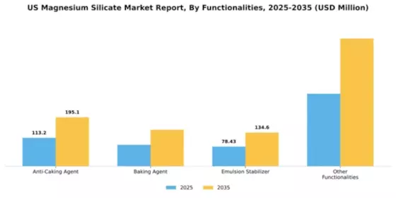 US Magnesium Silicate Market Segment Image 1