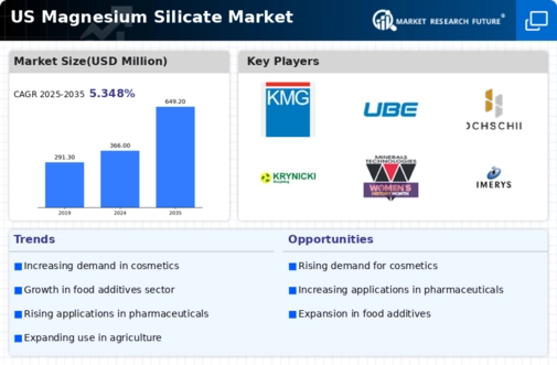 US Magnesium Silicate Market Infographic
