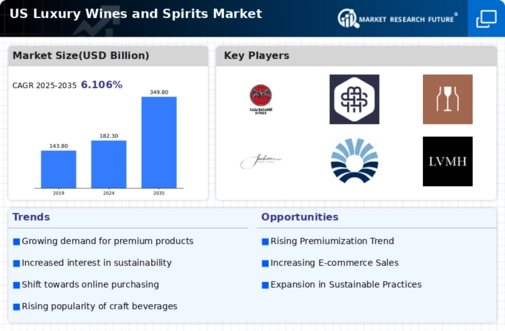 US Luxury Wines Spirits Market Infographic