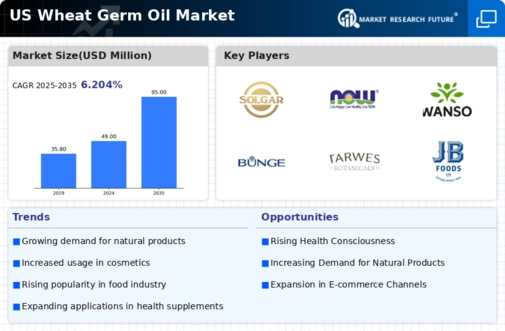 US Wheat Germ Oil Market Infographic