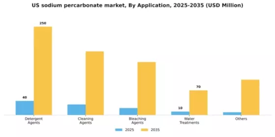 US Sodium Percarbonate Market Segment Image 0
