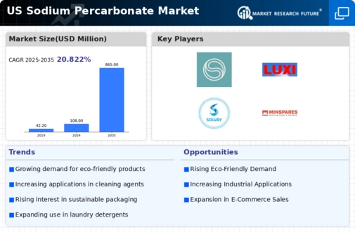 US Sodium Percarbonate Market Infographic