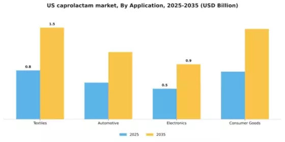 US Caprolactam Market Segment Image 0