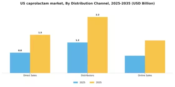 US Caprolactam Market Segment Image 1