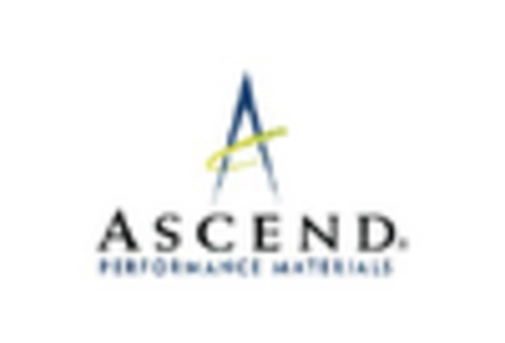 US Caprolactam Market key player