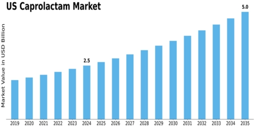 US Caprolactam Market Size