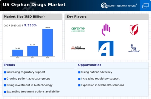 US Orphan Drugs Market Infographic