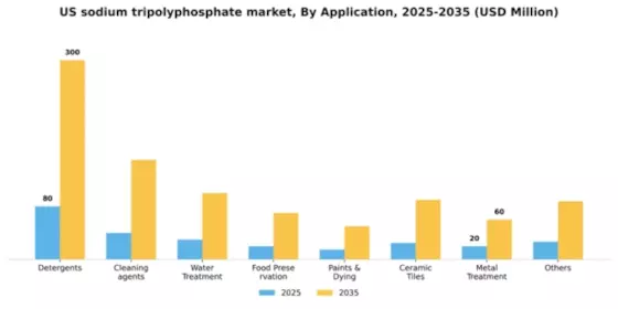 US Sodium Tripolyphosphate Market Segment Image 0