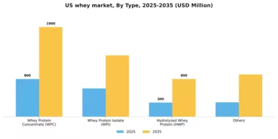 US Whey Market Segment Image 1