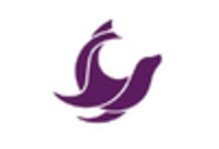 Grid Computing Market key player