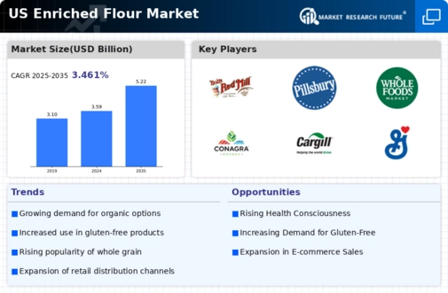 US Enriched Flour Market Infographic