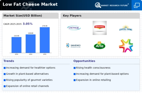 Low Fat Cheese Market Infographic