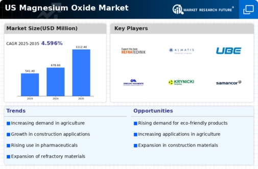 US Magnesium Oxide Market Infographic