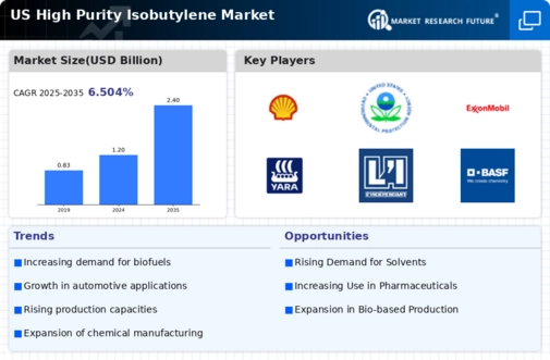 US High Purity Isobutylene Market Infographic
