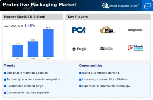 Protective Packaging Market Infographic