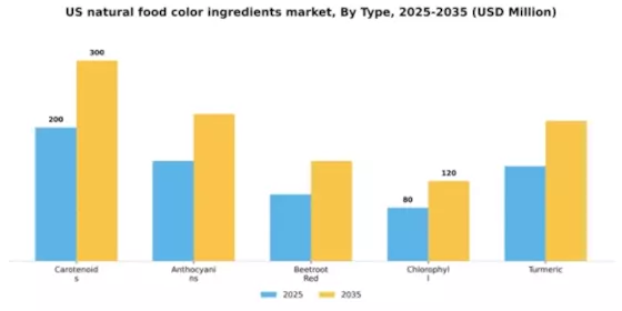 US Natural Food Color Ingredients Market Segment Image 3