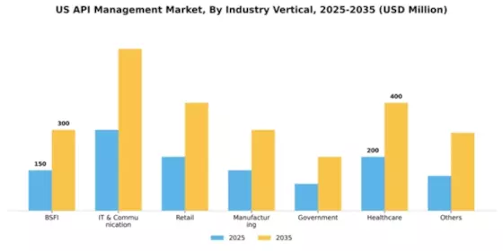 US API Management Market Segment Image 2