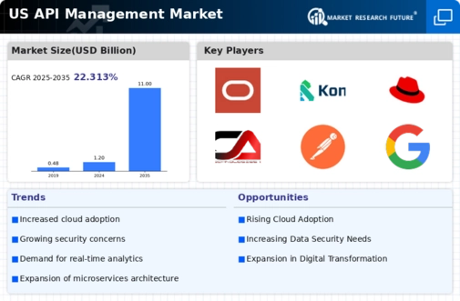 US API Management Market Infographic