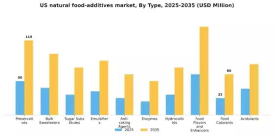 US Natural Food Additives Market Segment Image 1