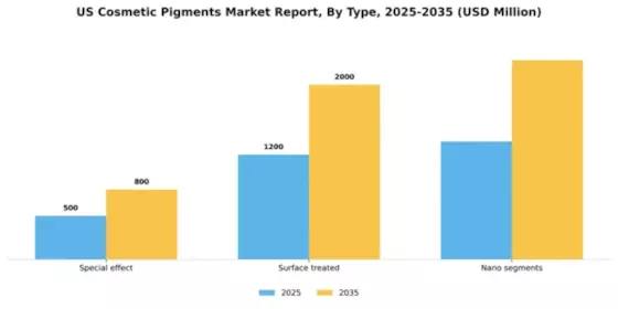 US Cosmetic Pigments Market Segment Image 3