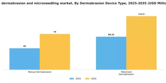 US Dermabrasion and Microneedling Market Segment Image 1