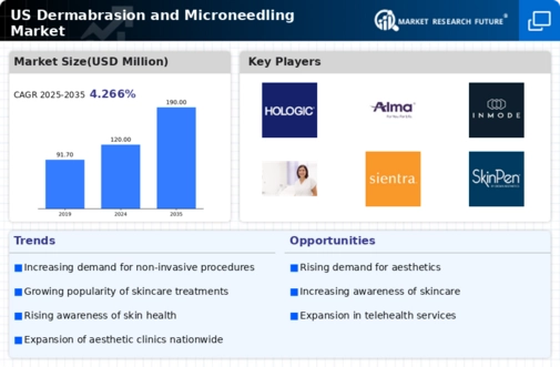 US Dermabrasion and Microneedling Market Infographic