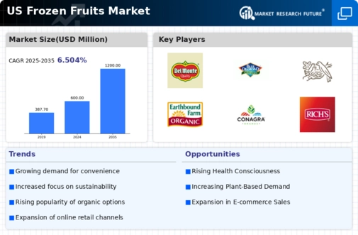 US APAC Frozen Fruits Vegetables Market Infographic