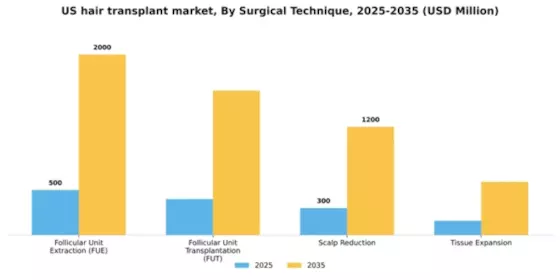 US Hair Transplant Market Segment Image 3
