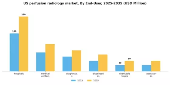 US Perfusion Radiology Market Segment Image 1