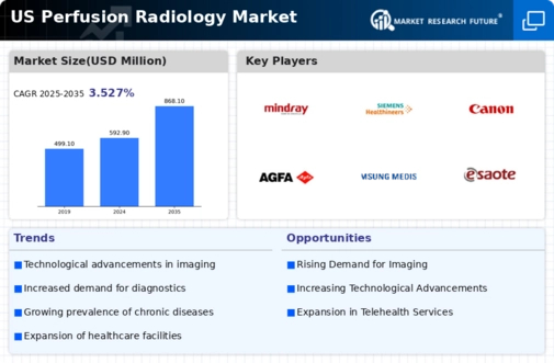 US Perfusion Radiology Market Infographic
