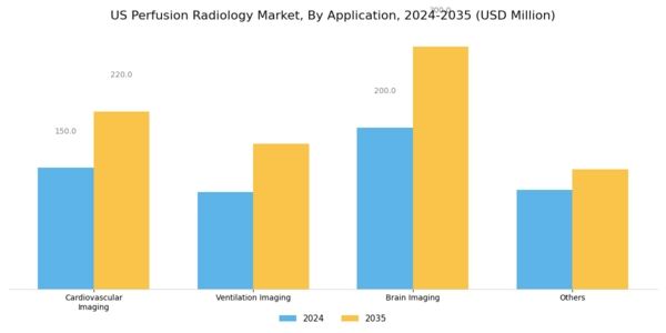 US Perfusion Radiology Market Segment Image 0