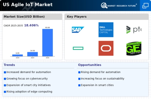 US Agile IoT Market Infographic