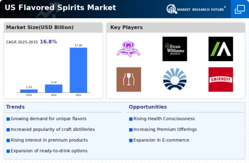 US Flavored Spirits Market Infographic