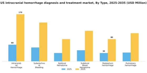 US Intracranial Hemorrhage Diagnosis and Treatment Market Segment Image 2
