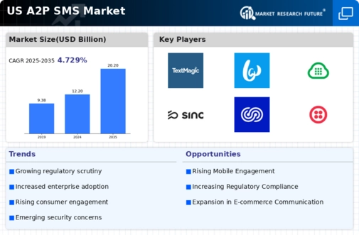 US A2P SMS Market Infographic