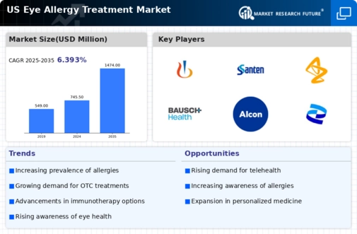 US Eye Allergy Treatment Market Infographic