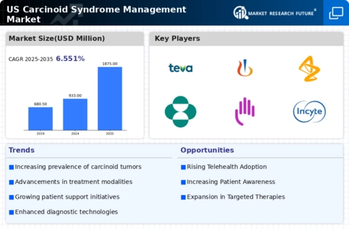 US Carcinoid Syndrome Management Market Infographic