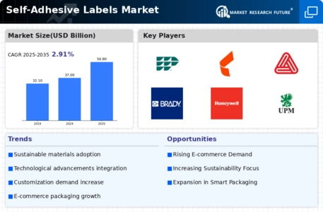 Self-adhesive Labels Market Infographic