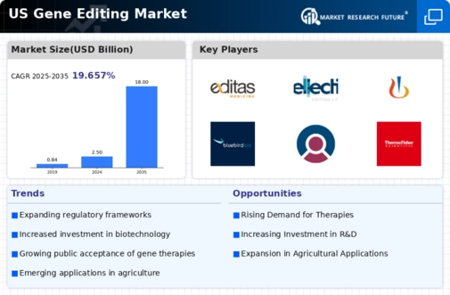 US Gene Editing Market Infographic