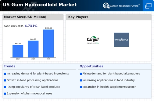 US Gum Hydrocolloid Market Infographic