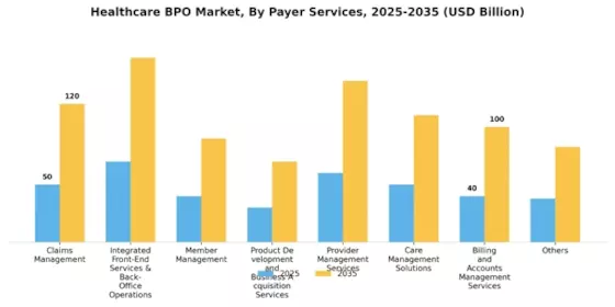 Healthcare BPO Market Segment Image 1